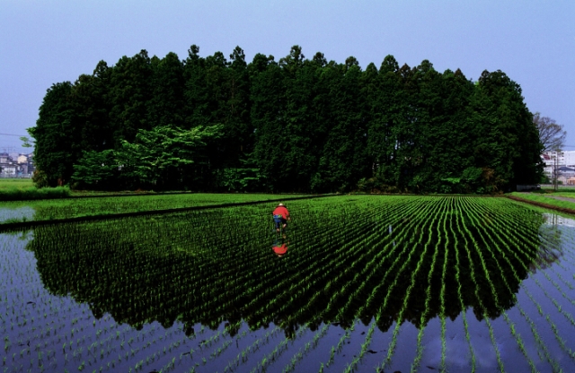 第71回国際写真サロン・富士フイルムフォトコンテスト